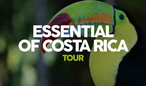 costa rica tour packages 2023